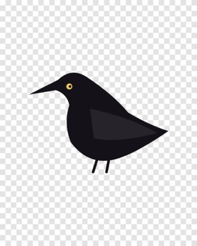 Raven Clipart PNG