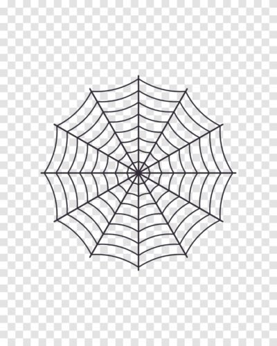 Spider Web Clipart PNG