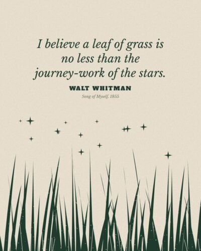 A Leaf of Grass and the Stars: Walt Whitman Quote