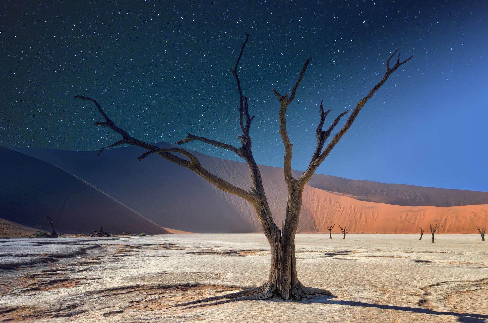 Namibia Desert Landscape